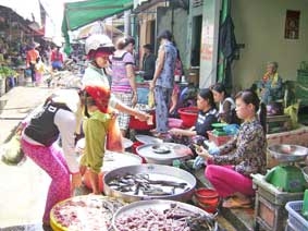 Nguồn cung dồi dào, giá giảm nhẹ