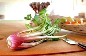 Cần tây đỏ sắp có mặt trên thị trường