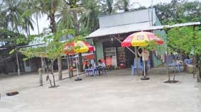 Bao chiếm, sử dụng đất trái phép - <br>
<i>vì sao chưa bị xử lý ?</i>