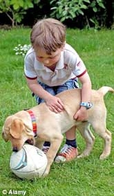 Chơi đùa với chó có ích cho trẻ tự kỷ