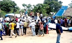 Máy bay rơi vì cá sấu!