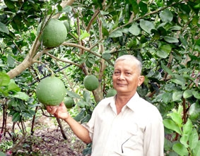 "Nhà khoa học chân đất"