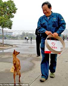 “Nàng” chó sành điệu