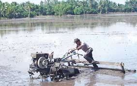 Đối mặt với nguy cơ hạn, xâm nhập mặn đầu vụ