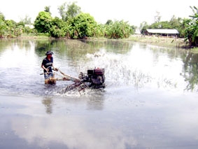 Để vụ lúa đông xuân đạt hiệu quả cao