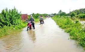 Triều cường dâng cao, gây nhiều thiệt hại