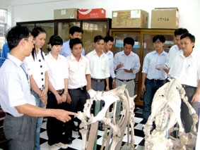 Nhu cầu cao nhưng thiếu nguồn cung