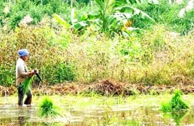 Khó khăn chồng chất