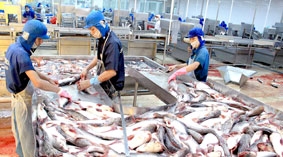 Công nghiệp chế biến làm đòn bẩy phát triển kinh tế ĐBSCL