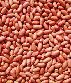 Ăn gì để “triệt hạ” cholesterol?