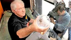 Sống với nhện để... làm từ thiện