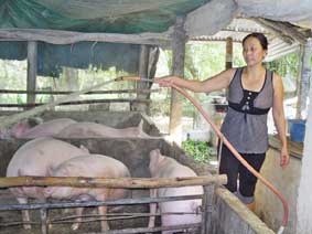 Làng pháo Thạnh An bây giờ...