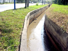 Để ĐBSCL là điểm đến vững tin