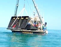 Đại dương có thể trở thành nhà máy điện khổng lồ