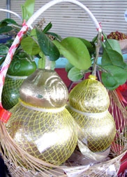 HẬU GIANG: Sẽ có khoảng 4.000 trái bưởi hồ lô 
vào dịp Tết Nguyên đán