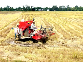 Vấn đề bức bách !