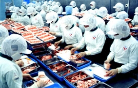 Doanh nghiệp nỗ lực vượt khó