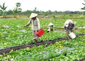 Đảm bảo đủ hàng hóa phục vụ người tiêu dùng