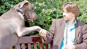 Khám phá suy nghĩ “bạn của con người”