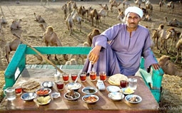 Vòng quanh thế giới qua 80 bữa ăn