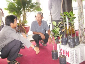 Nông dân còn gặp khó !