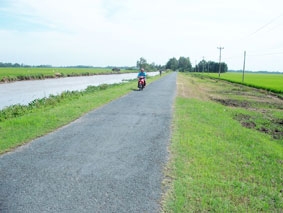 Người dân điêu đứng với tin đồn "tắc kè giá trăm triệu"