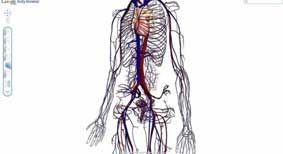 Tự làm bác sĩ với Google Body Browser