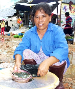 Bài học đắt giá cho công tác quản lý, quy hoạch