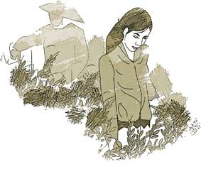 Hái rau miệt vườn