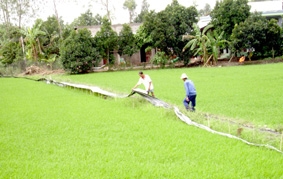 Cần chủ động ứng phó dịch bệnh