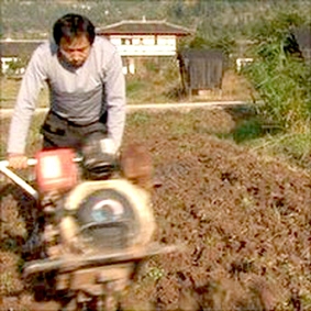 Công nghệ thông tin "tiếp sức" nông dân Trung Quốc