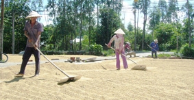 Lập lại trật tự kinh doanh xuất khẩu gạo