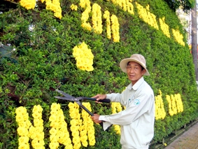 Để TP Cần Thơ thực hiện thành công chủ đề năm 2011 "Trật tự, kỷ cương đô thị"