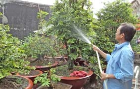 Dịch vụ đắt hàng