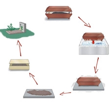 "Về cõi vĩnh hằng" thân thiện môi trường hơn
