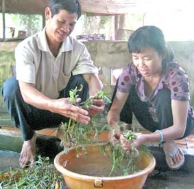 "Cơm sôi bớt lửa..."