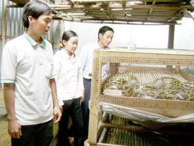 Dương Văn Nhu - tỉ phú tuổi 30
