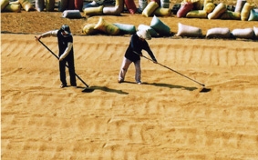 Đối mặt với nhiều thách thức