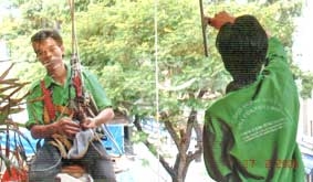 Vào mùa kinh doanh Tết