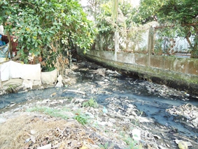 Chung tay cải tạo kênh, rạch ô nhiễm