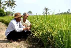 Bước tập dợt...