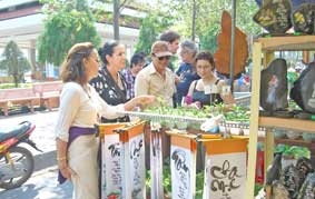 Sôi động du lịch Tết