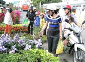 Nhộn nhịp chợ hoa kiểng Tết