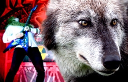 Cậu bé thoát chết nhờ... âm nhạc