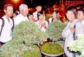 Góp đẹp mùa Xuân...