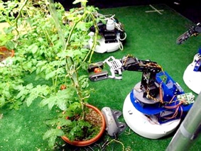 Hàn Quốc phát triển robot phục vụ 
nông nghiệp