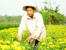 Làng nghề Tết được mùa