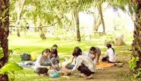 Tết này, đi đâu chơi ?