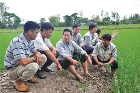 Thiên tử cầm roi đi cày