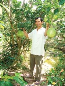 Những mảng xanh đô thị